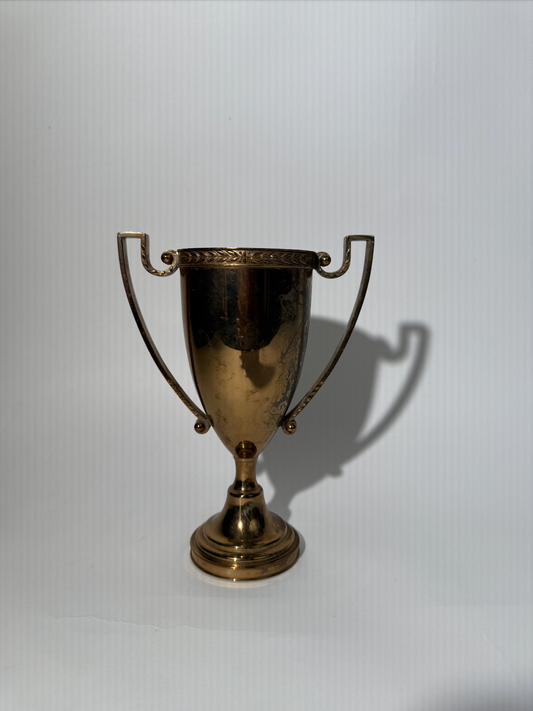 Brass Trophy Cup
