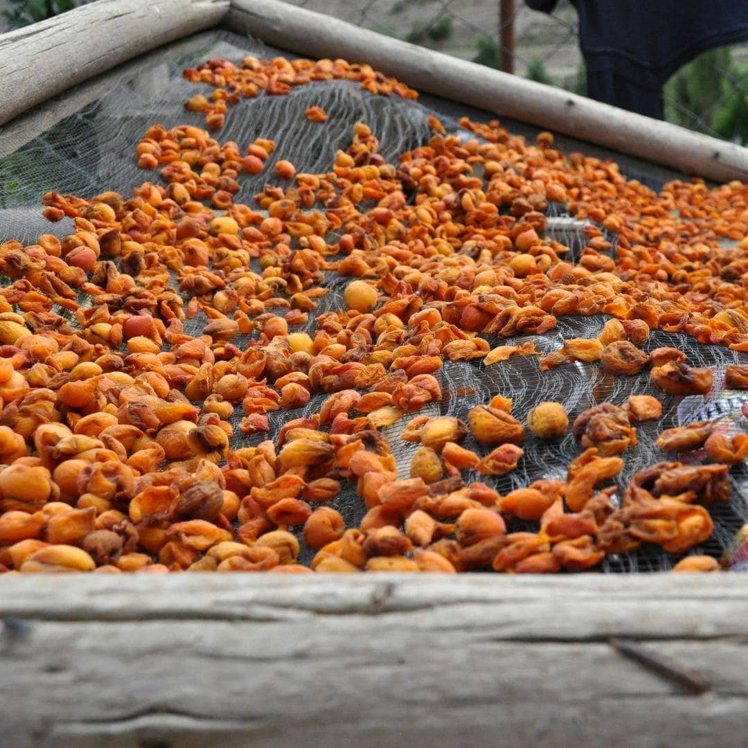 Apricot Oil, 100% Organic