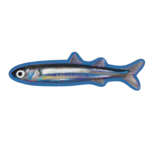 BLUE PHISH! Sticker