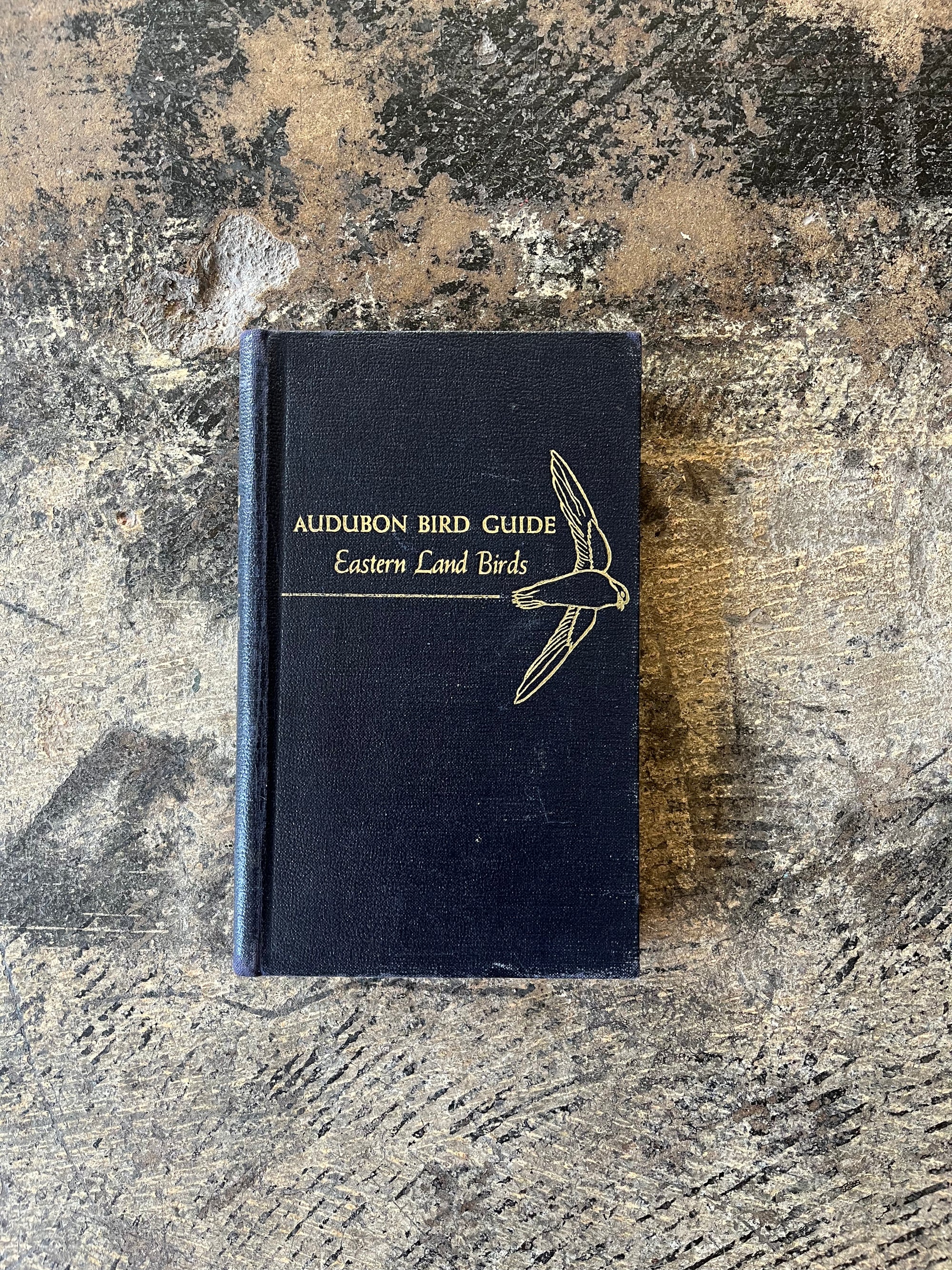 Audubon Bird Guide Book