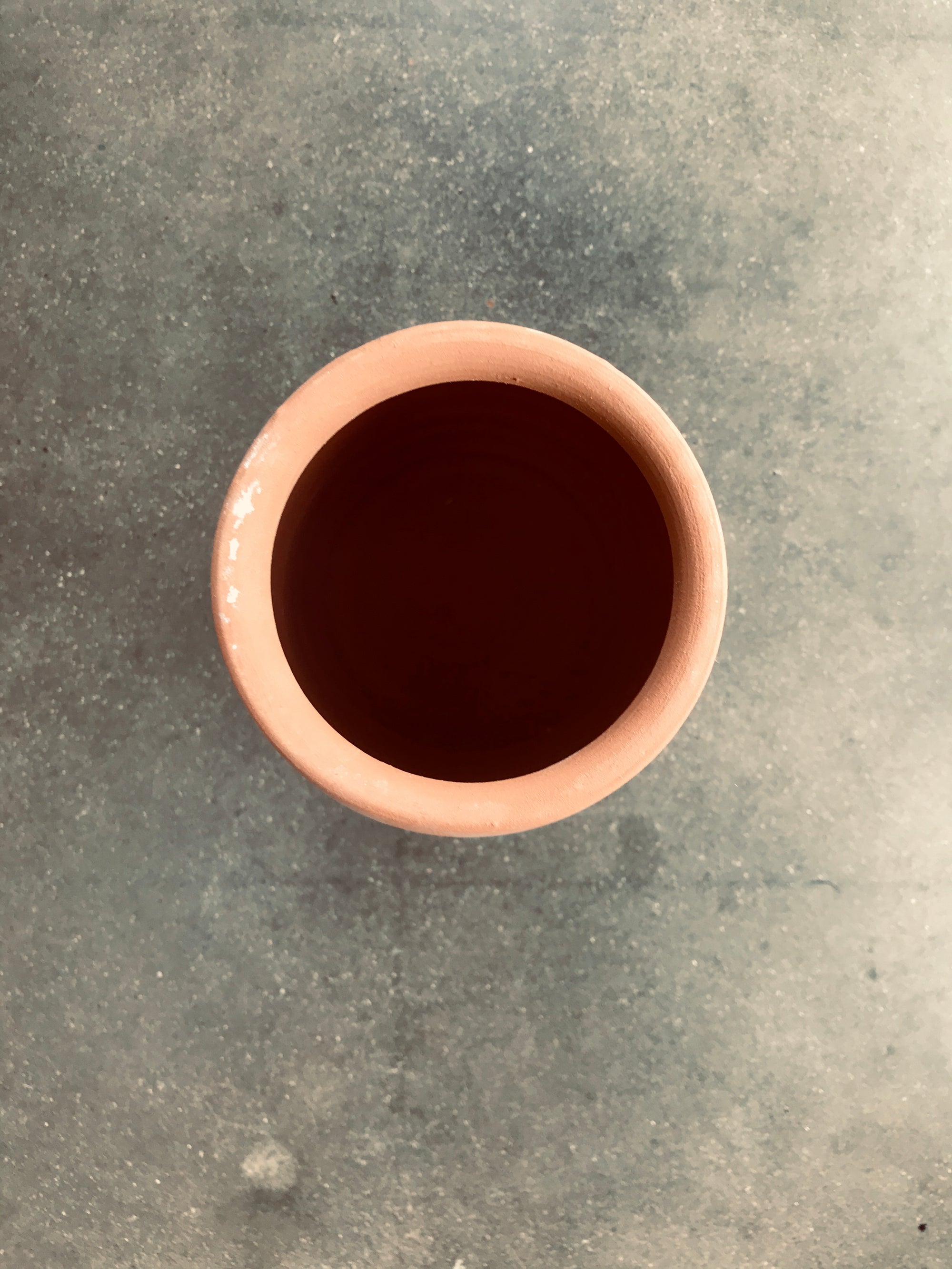 Terracotta Medium Pot