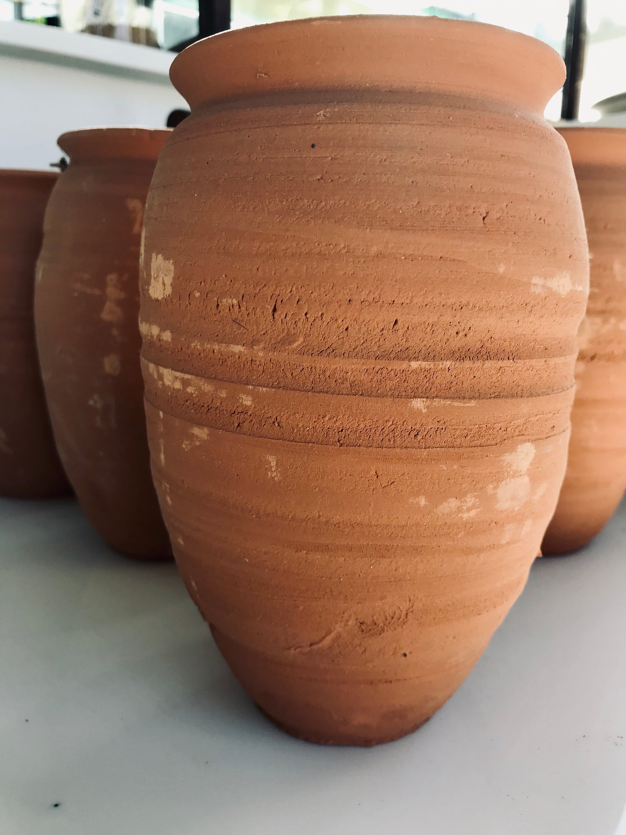 Terracotta Medium Pot