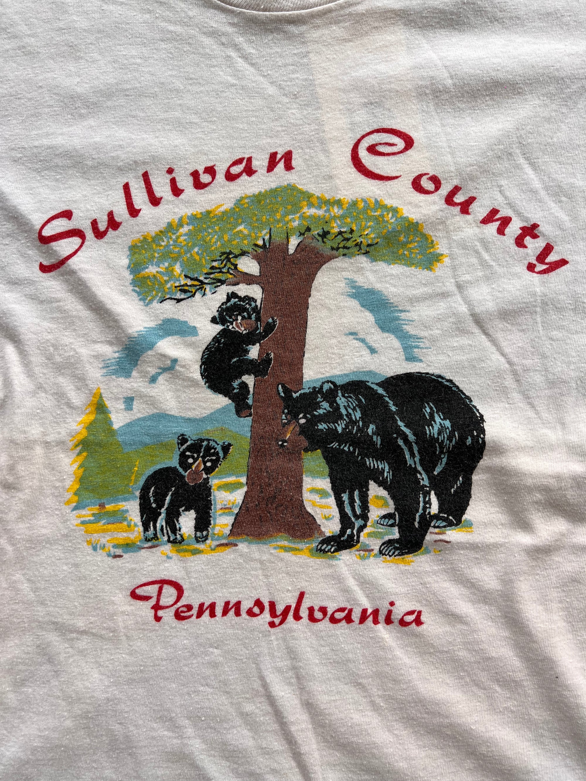 Vintage Sullivan County, Pennsylvania Tee