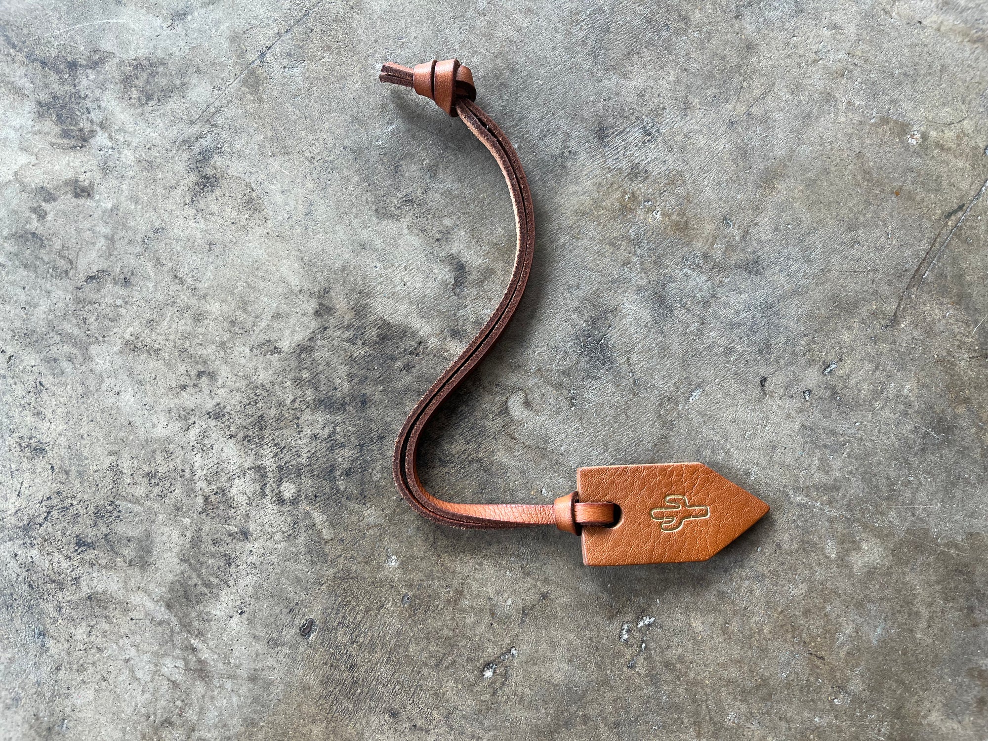Brown Embossed Cactus Luggage Tag