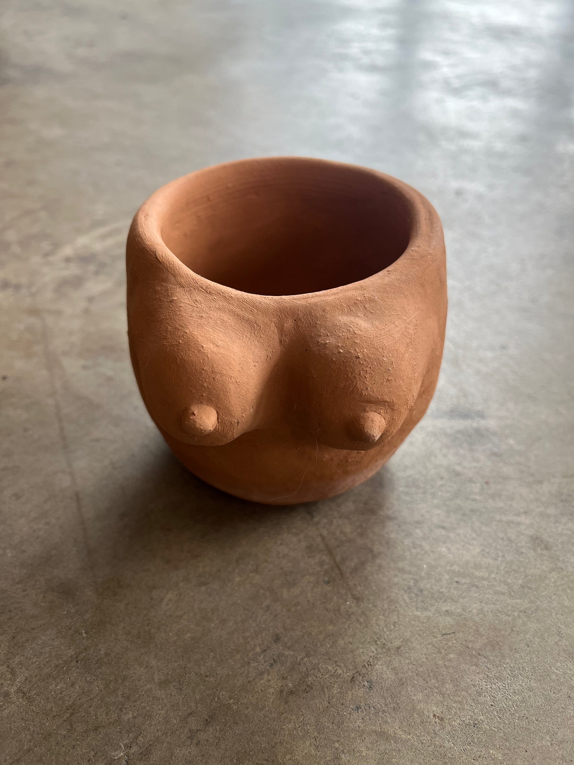 Earthenware Boob Planter