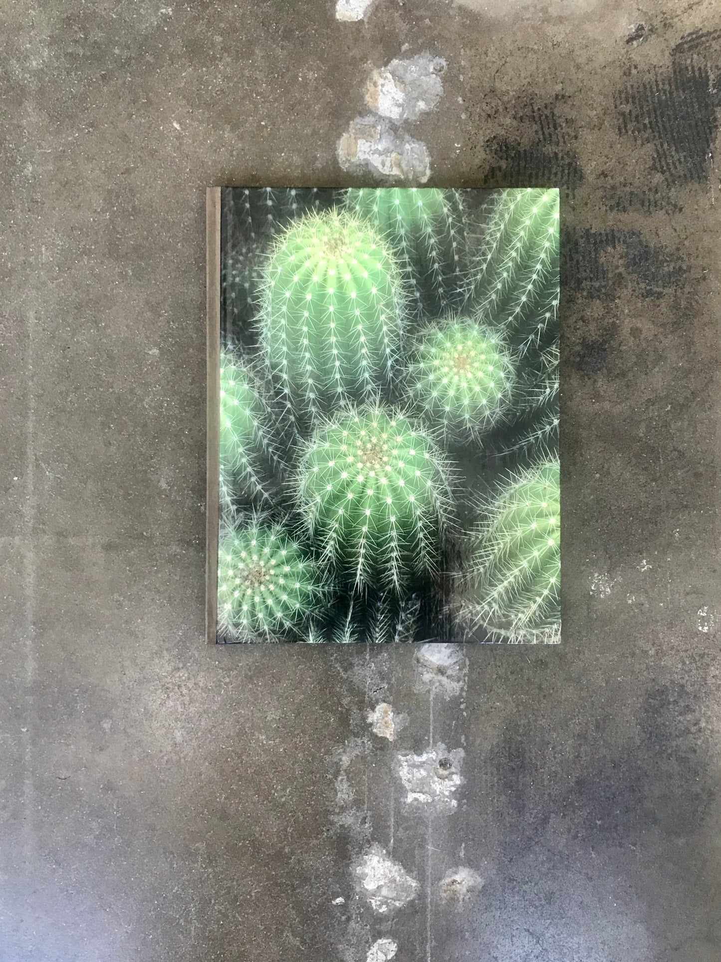 The Time-Life Encyclopedia Of Gardening