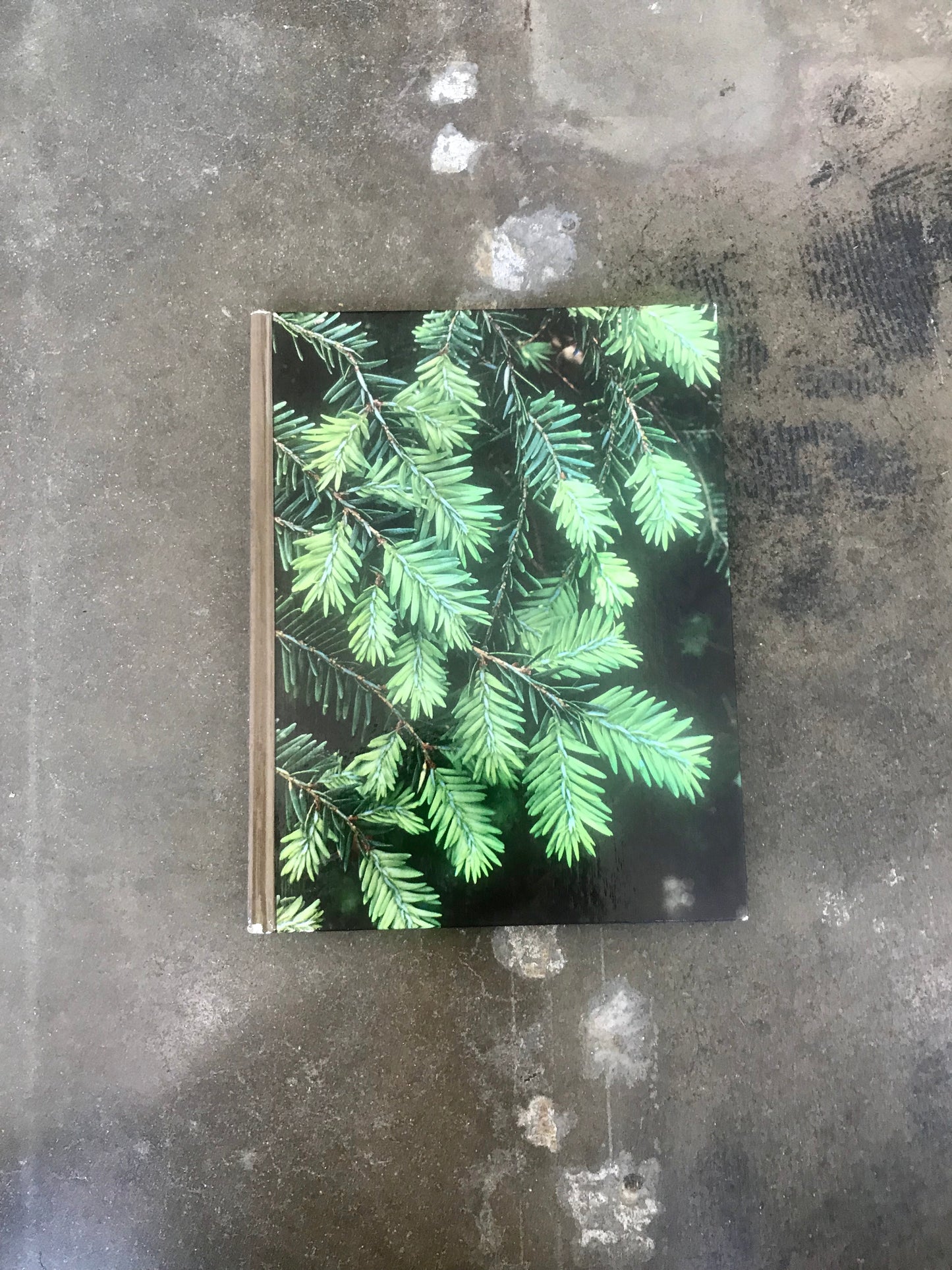 The Time-Life Encyclopedia Of Gardening