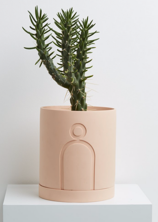 Large Etch Planter