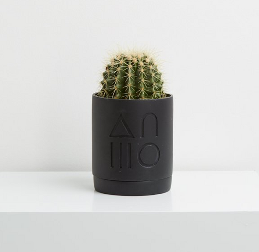Etch Pot