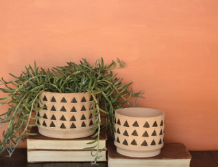 Inca Ceramic Pot