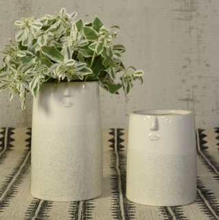 Face Vase