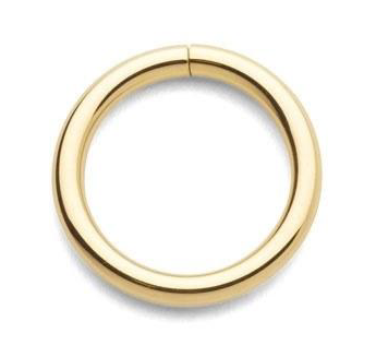 Yellow Gold Seam Ring 16g 3/8- Anatometal