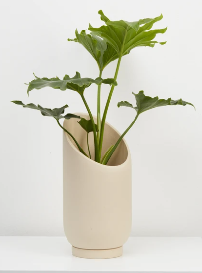 Small Summit Pot