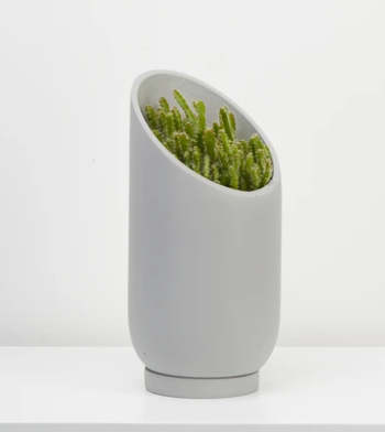 Small Summit Pot