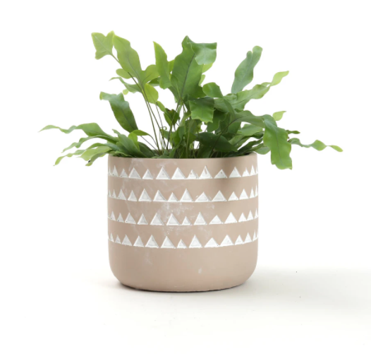 Totem Triangle Band Clay Cachepot