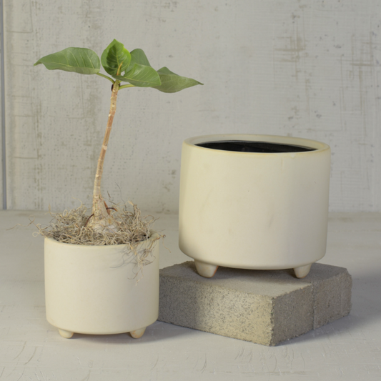 Simon Footed Planter