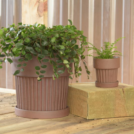 Ribbed Brown Clay Pot & Saucer