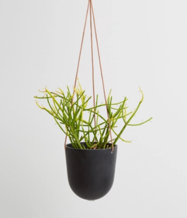 Block Colour Hanging Planter