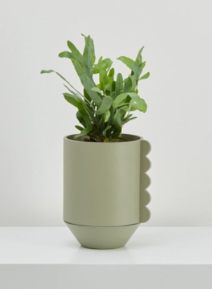 Frill Feature Planter