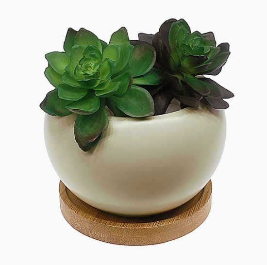 Small Planter with Bamboo Saucer