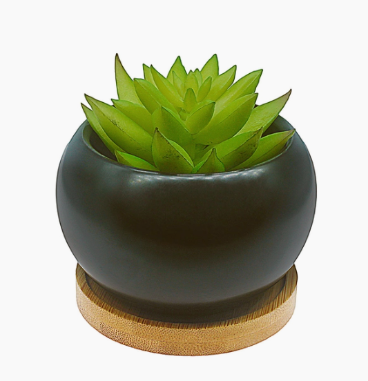 Small Planter with Bamboo Saucer