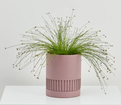 Etch Pot