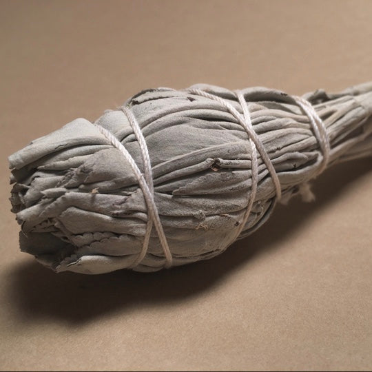 Wild White Sage