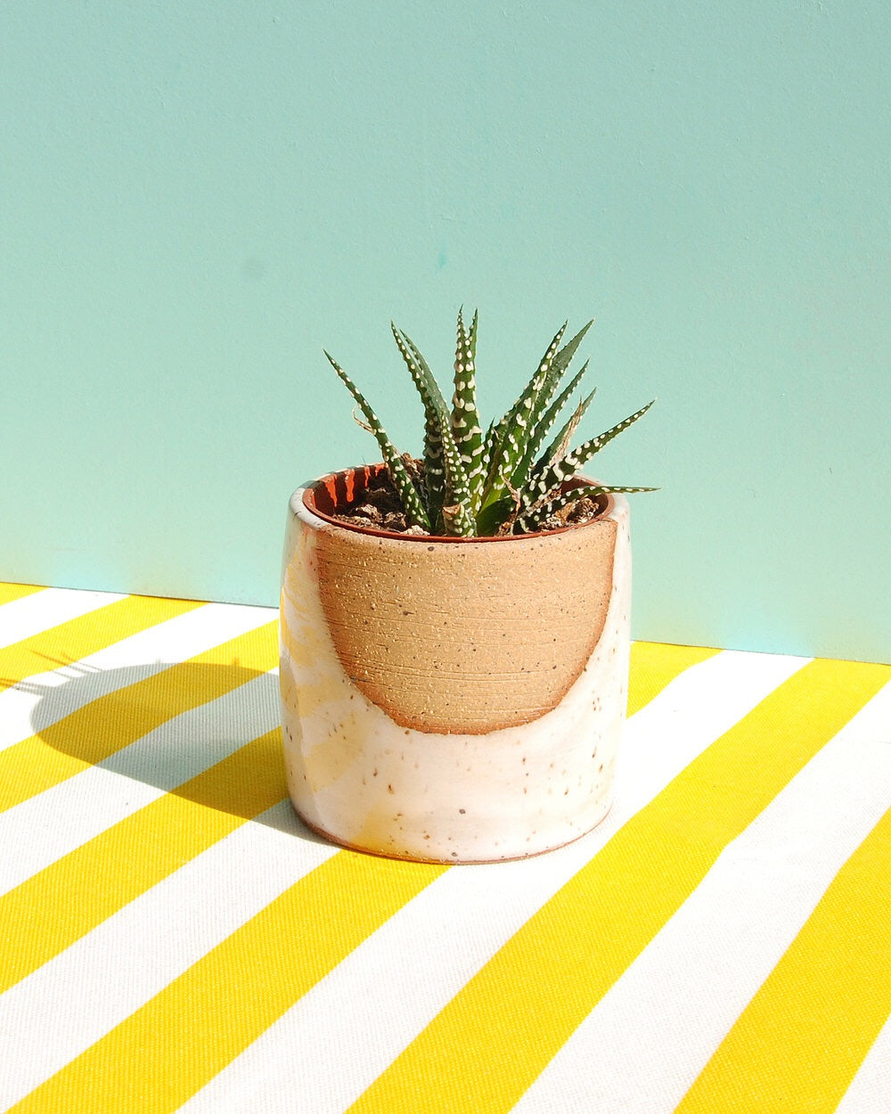 Glow Planter