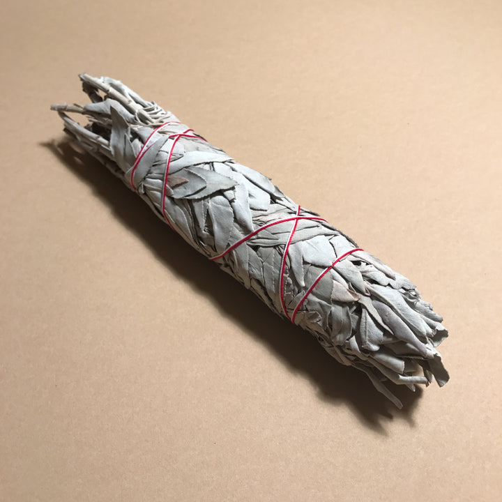 Wild White Sage